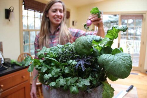 SeedSheet Review: Grow Your Own Mini Garden