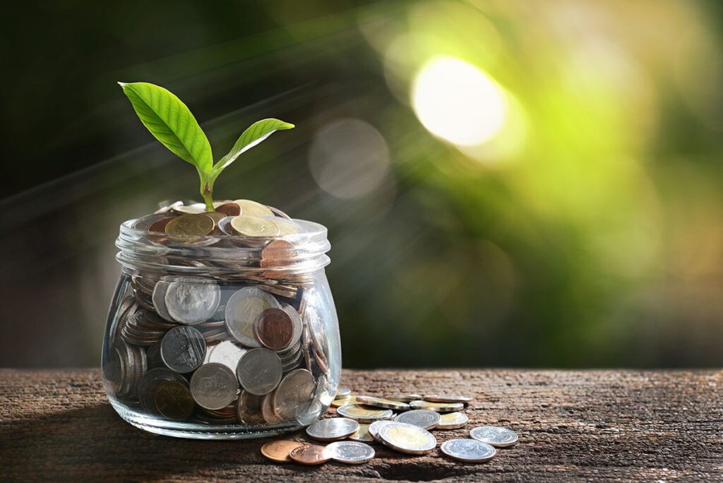 Saving Money with SeedSheet