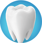 Teeth