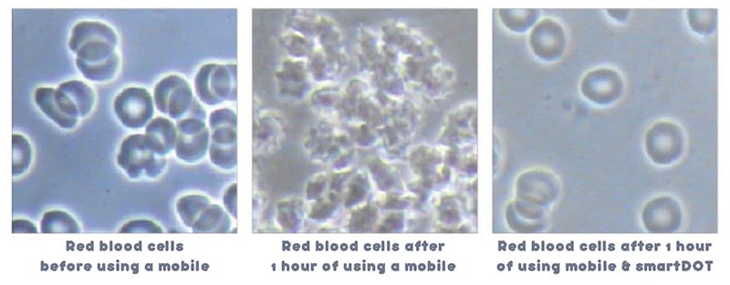 Independent Research smartDOT