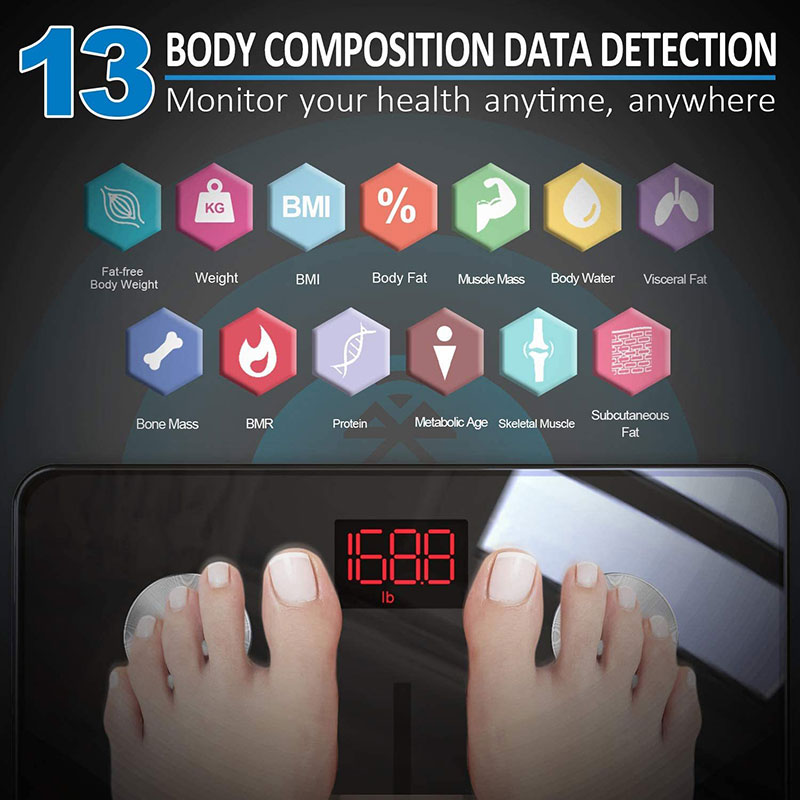 Renpho Smart Scale