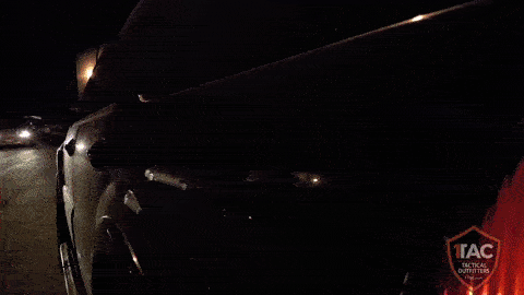 Safety disc mount on car