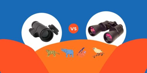 Monocular Vs Binocular - What's the Best Option?