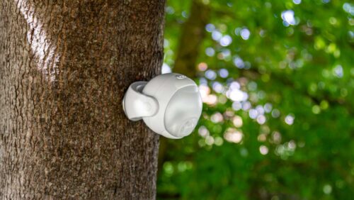 Lumenology Review - LED Portable Motion Sensor Light