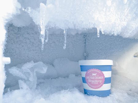 shoe in freezer