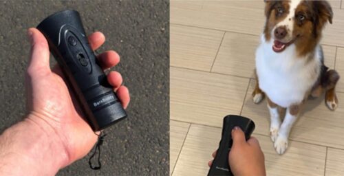 Barxbuddy Review - Ultrasonic Anti Barking Training Tool