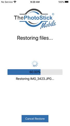restoring files