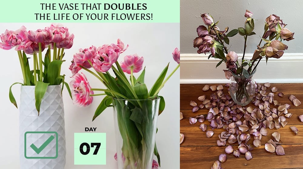 The Vase that doubles life of your flowers