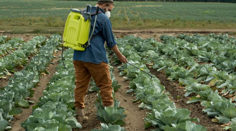 farmer spraying pesticides