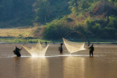 Net-Fishing