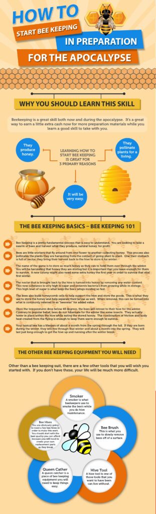 beekeeping-could-greatly-improve-your-quality-of-life
