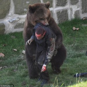 man-being-eaten-by-bear-wildlife-in-zombie-apocalypse-299x300