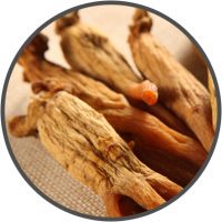 Asian-Red-Ginseng