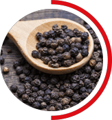 vigrx-plus-bioperine-absorption