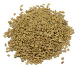 Fenugreek