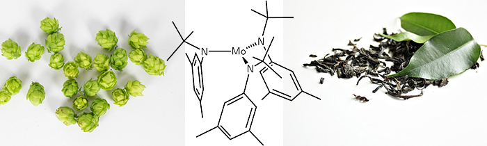 Phen24 nightime ingredients