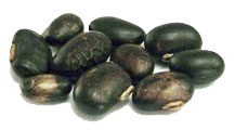 ashwagandha extract