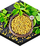 fenugreek testosil
