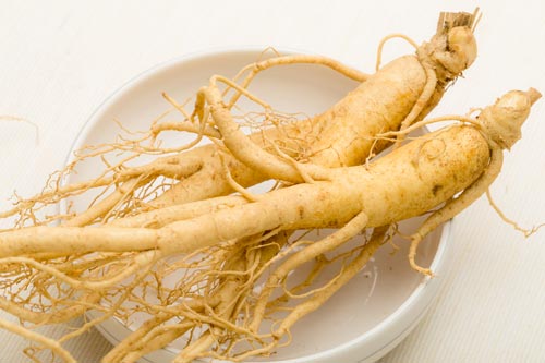 korean-ginseng