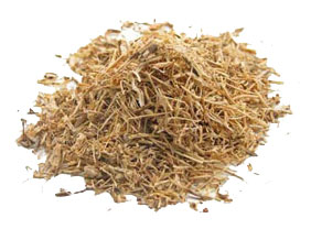 nettle root