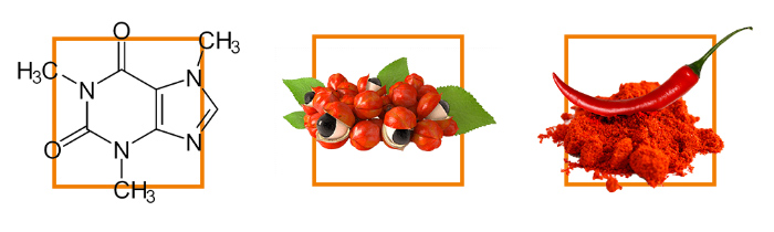 Phen24 Daytime Ingredients