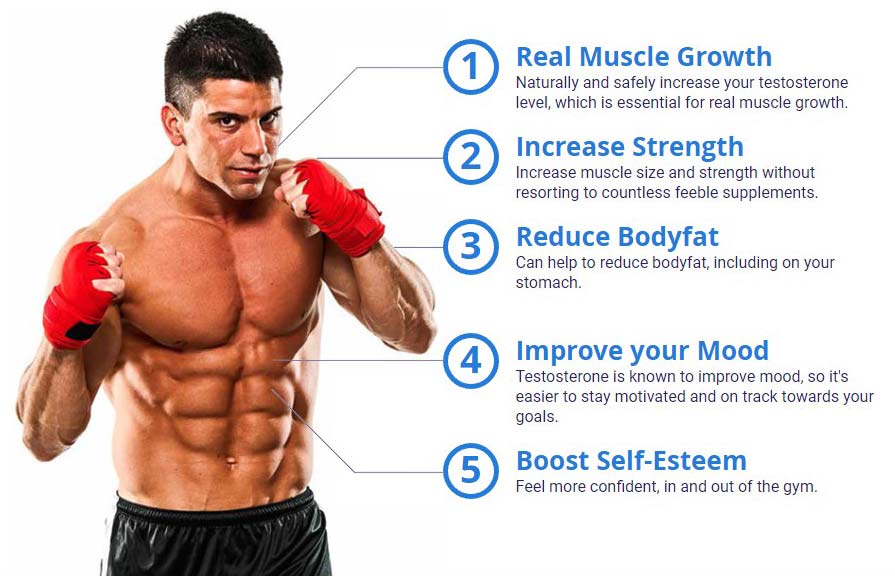 testofuel benefits