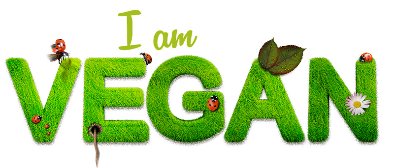 What if I am a Vegan Phen24