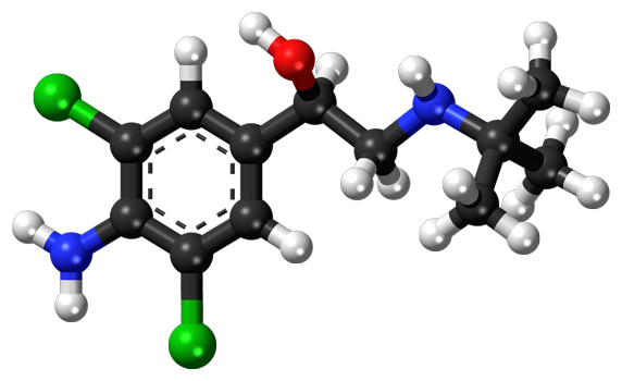 Clenbuterol history