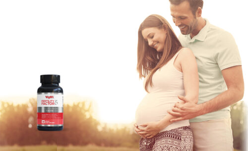 Fertility Factor 5 review