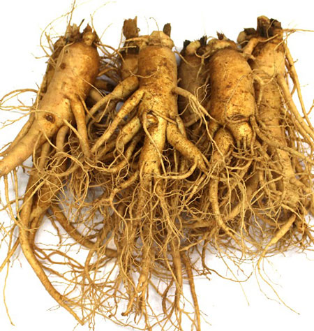 Korean Ginseng: