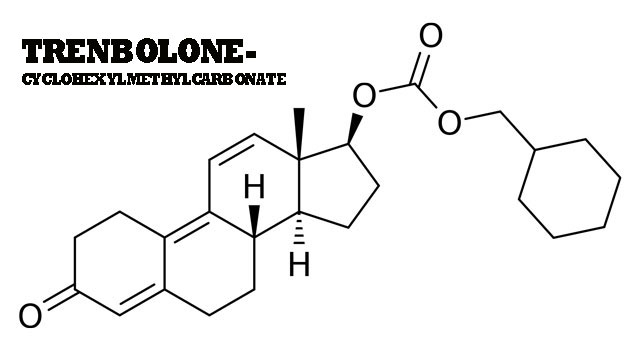 Trenbolone hexahydrobenzylcarbonate.