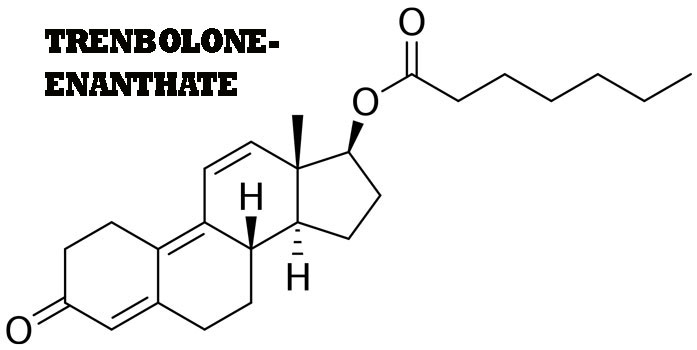 Trenbolone enanthate