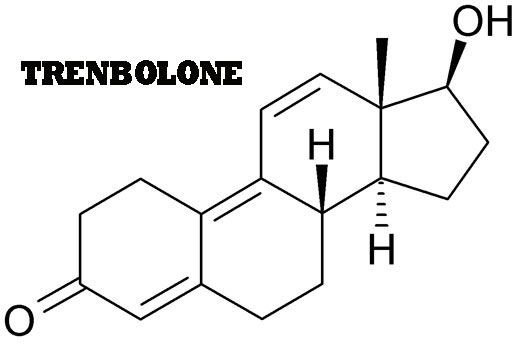 Trenbolone