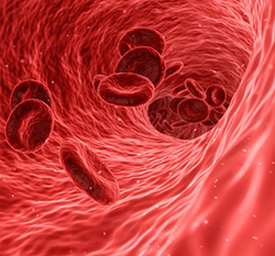 Winsol Blood Flow