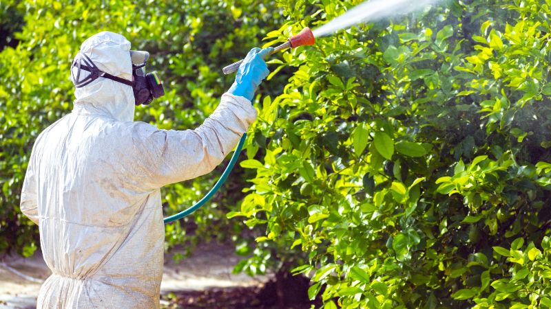 Pesticide Exposure