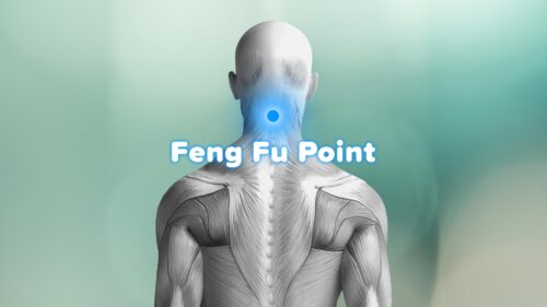 The Feng Fu Point: Exploring Ice Therapy and Its Benefits