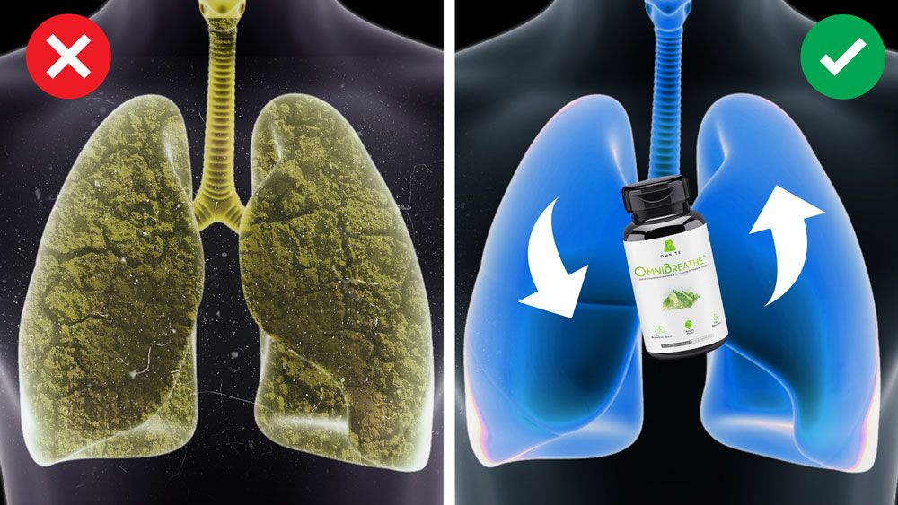 lungs before and after using omnibreathe