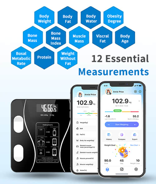 12 essential measurements fitscalex