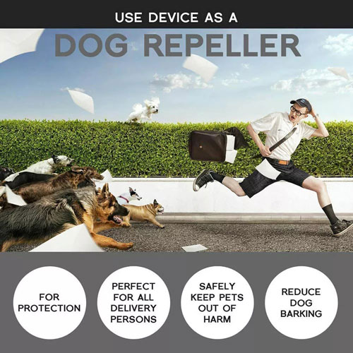 Best Device to Stop Multiple Dogs from Barking