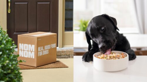 Best Dog Food Delivery Service for 2025