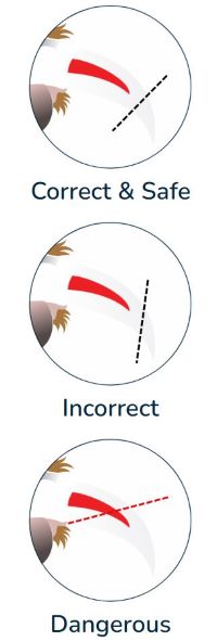 how to clip the dog nails