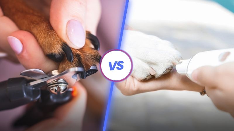 nail grinder vs nail clipper