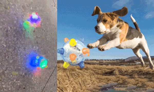 petsdog ball in air gif