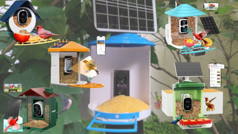 6 best smart bird feeders with camera