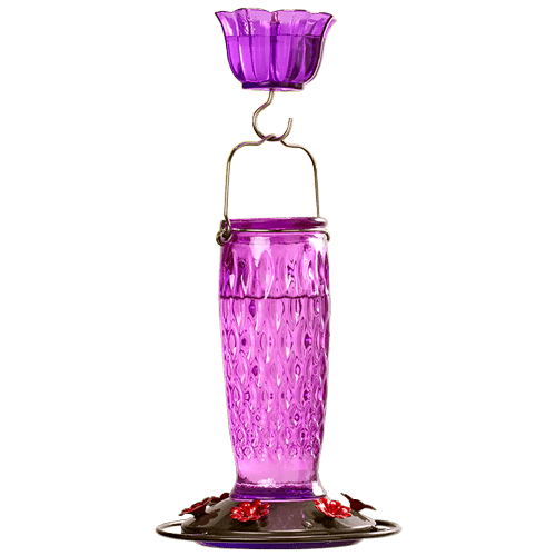 Kingsyard Glass Hummingbird Feeder