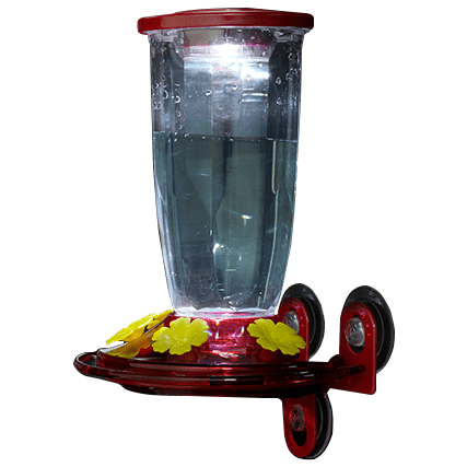 Kingsyard Solar Window Hummingbird Feeder