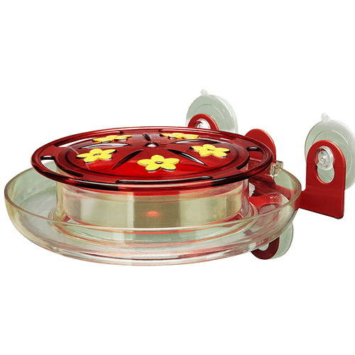 Kingsyard Window Hummingbird Feeder with Ant Moat