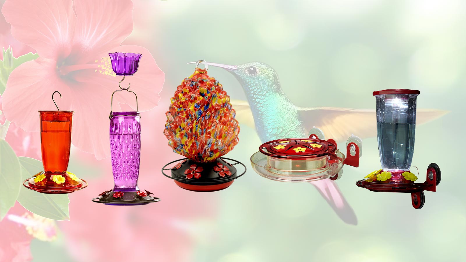 best hummingbird feeder