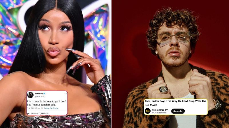 blender bomb celebrity reviews