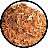 catuaba bark